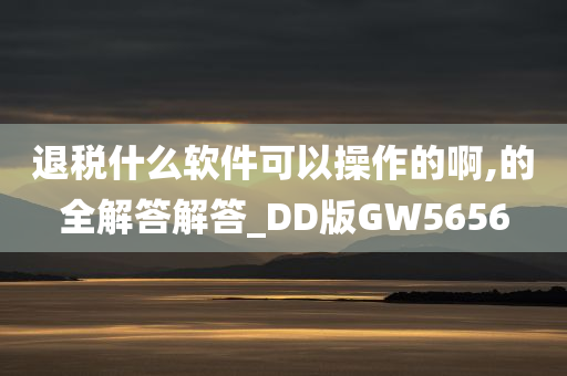 退税什么软件可以操作的啊,的全解答解答_DD版GW5656