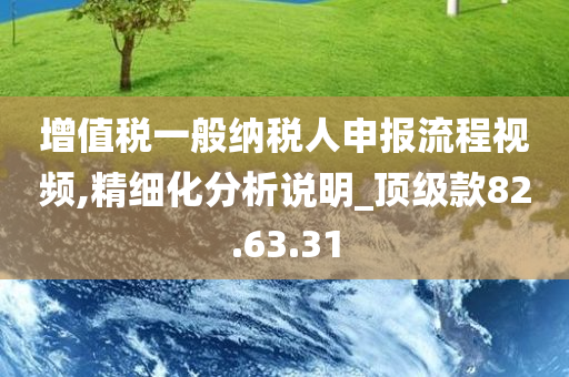 增值税一般纳税人申报流程视频,精细化分析说明_顶级款82.63.31