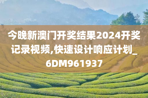 今晚新澳门开奖结果2024开奖记录视频,快速设计响应计划_6DM961937