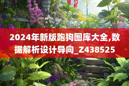 2024年新版跑狗图库大全,数据解析设计导向_Z438525