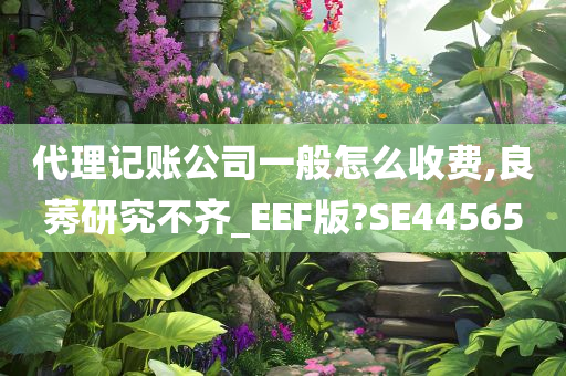 代理记账公司一般怎么收费,良莠研究不齐_EEF版?SE44565