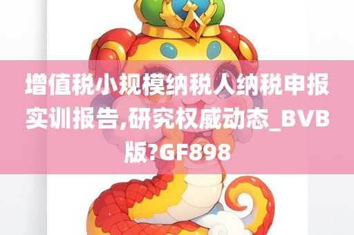 增值税小规模纳税人纳税申报实训报告,研究权威动态_BVB版?GF898