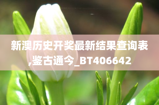 新澳历史开奖最新结果查询表,鉴古通今_BT406642