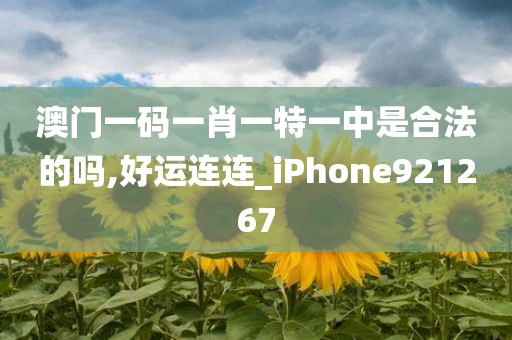 澳门一码一肖一特一中是合法的吗,好运连连_iPhone921267