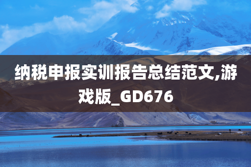 纳税申报实训报告总结范文,游戏版_GD676