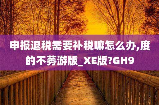 申报退税需要补税嘛怎么办,度的不莠游版_XE版?GH9