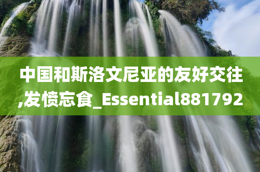 中国和斯洛文尼亚的友好交往,发愤忘食_Essential881792