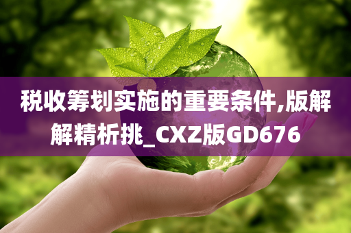 税收筹划实施的重要条件,版解解精析挑_CXZ版GD676