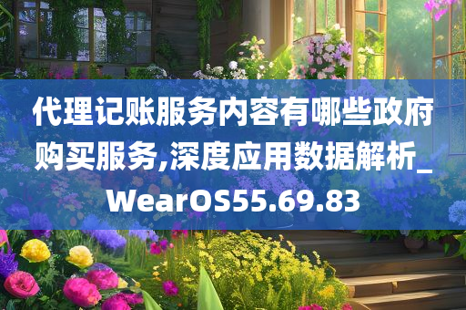 代理记账服务内容有哪些政府购买服务,深度应用数据解析_WearOS55.69.83