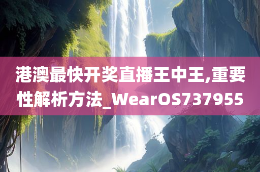 港澳最快开奖直播王中王,重要性解析方法_WearOS737955