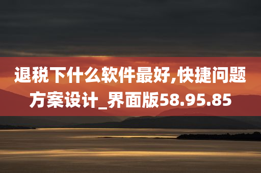 退税下什么软件最好,快捷问题方案设计_界面版58.95.85