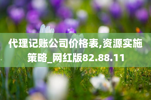 代理记账公司价格表,资源实施策略_网红版82.88.11