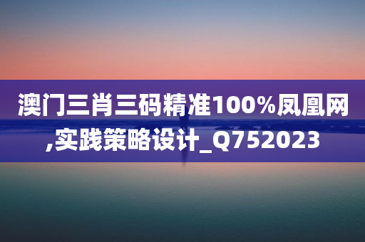 澳门三肖三码精准100%凤凰网,实践策略设计_Q752023