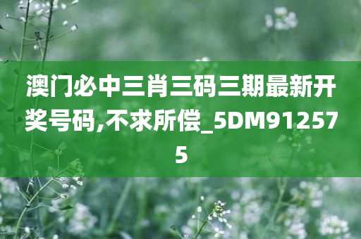 澳门必中三肖三码三期最新开奖号码,不求所偿_5DM912575