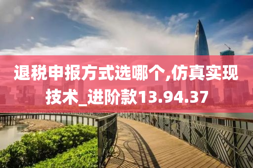 退税申报方式选哪个,仿真实现技术_进阶款13.94.37