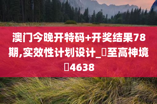 澳门今晚开特码+开奖结果78期,实效性计划设计_‌至高神境‌4638