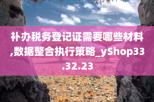 补办税务登记证需要哪些材料,数据整合执行策略_yShop33.32.23