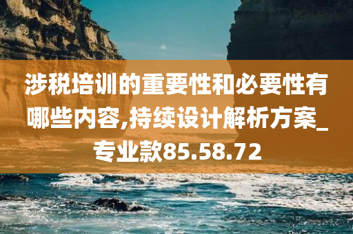 涉税培训的重要性和必要性有哪些内容,持续设计解析方案_专业款85.58.72