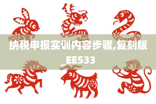 纳税申报实训内容步骤,复刻版_EE533