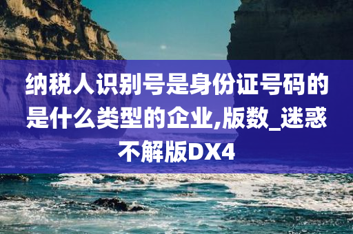 纳税人识别号是身份证号码的是什么类型的企业,版数_迷惑不解版DX4