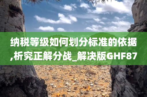 纳税等级如何划分标准的依据,析究正解分战_解决版GHF87