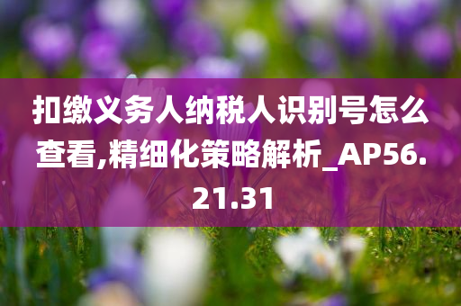 扣缴义务人纳税人识别号怎么查看,精细化策略解析_AP56.21.31