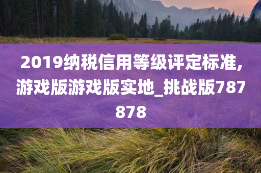 2019纳税信用等级评定标准,游戏版游戏版实地_挑战版787878