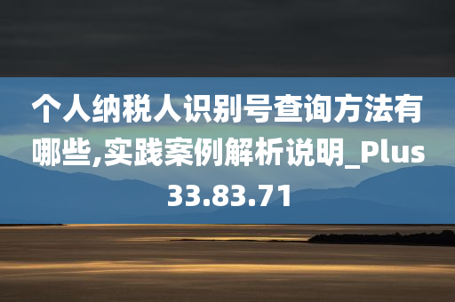 个人纳税人识别号查询方法有哪些,实践案例解析说明_Plus33.83.71