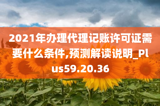 2021年办理代理记账许可证需要什么条件,预测解读说明_Plus59.20.36