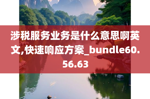 涉税服务业务是什么意思啊英文,快速响应方案_bundle60.56.63