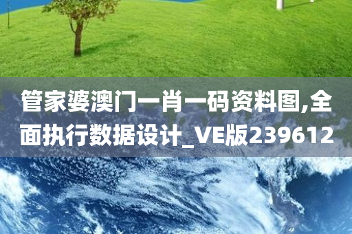 管家婆澳门一肖一码资料图,全面执行数据设计_VE版239612