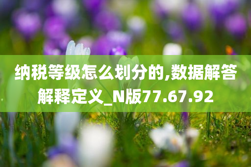 纳税等级怎么划分的,数据解答解释定义_N版77.67.92