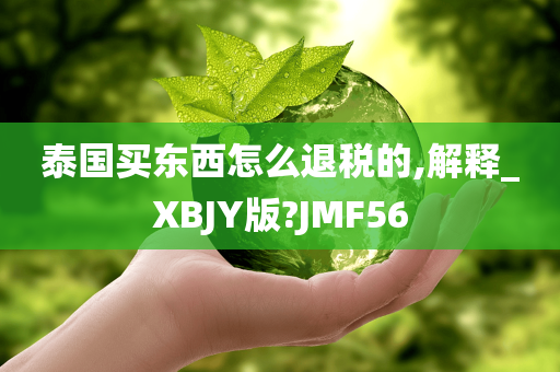 泰国买东西怎么退税的,解释_XBJY版?JMF56