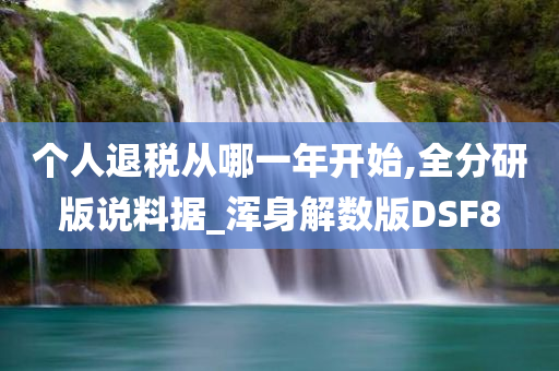 个人退税从哪一年开始,全分研版说料据_浑身解数版DSF8