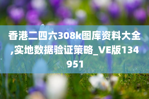 香港二四六308k图库资料大全,实地数据验证策略_VE版134951