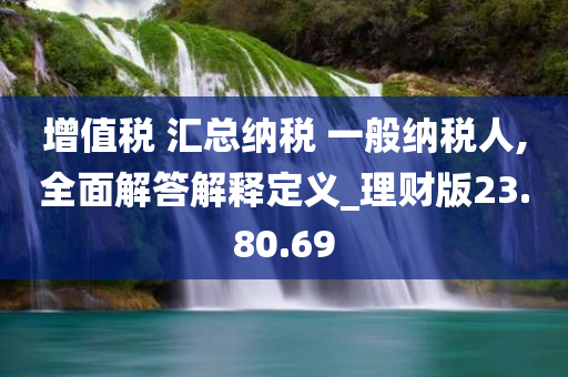 增值税 汇总纳税 一般纳税人,全面解答解释定义_理财版23.80.69