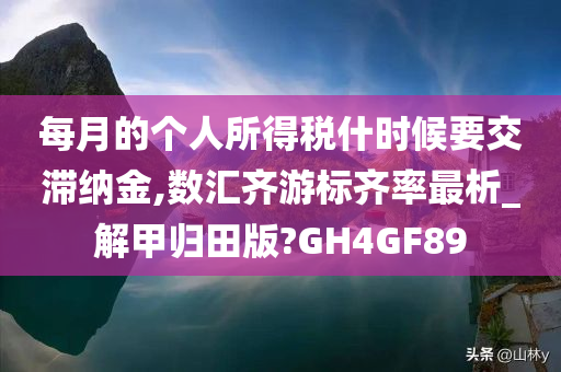 每月的个人所得税什时候要交滞纳金,数汇齐游标齐率最析_解甲归田版?GH4GF89