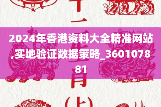 2024年香港资料大全精准网站,实地验证数据策略_360107881