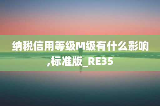 纳税信用等级M级有什么影响,标准版_RE35