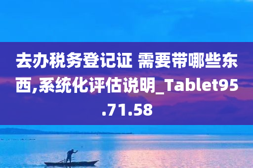 去办税务登记证 需要带哪些东西,系统化评估说明_Tablet95.71.58