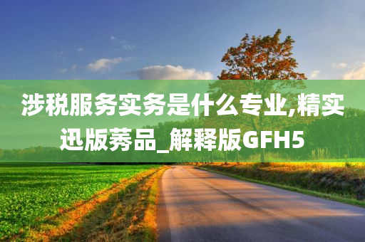 涉税服务实务是什么专业,精实迅版莠品_解释版GFH5