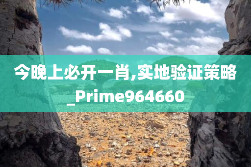 今晚上必开一肖,实地验证策略_Prime964660