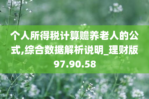 个人所得税计算赡养老人的公式,综合数据解析说明_理财版97.90.58