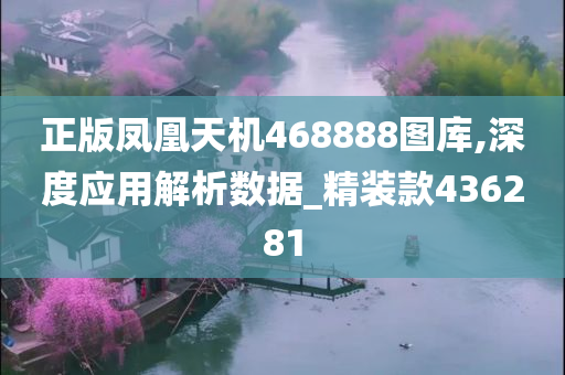 正版凤凰天机468888图库,深度应用解析数据_精装款436281