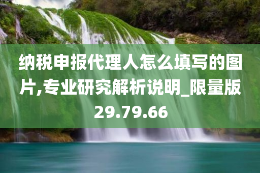 纳税申报代理人怎么填写的图片,专业研究解析说明_限量版29.79.66