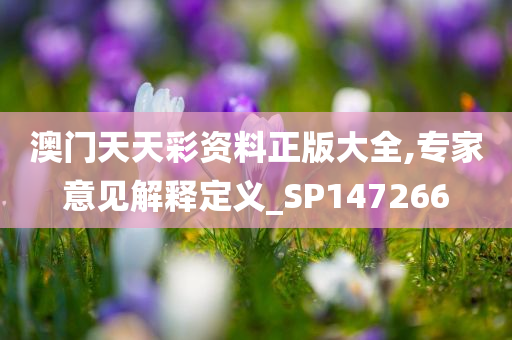 澳门天天彩资料正版大全,专家意见解释定义_SP147266