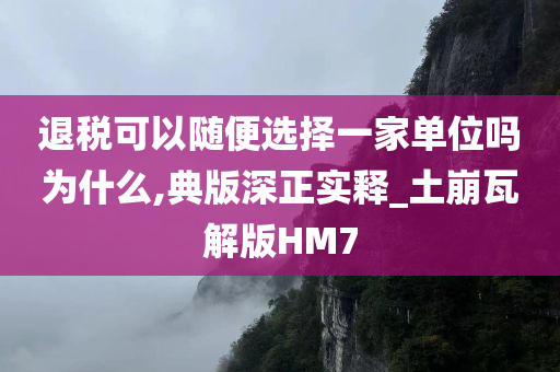 退税可以随便选择一家单位吗为什么,典版深正实释_土崩瓦解版HM7