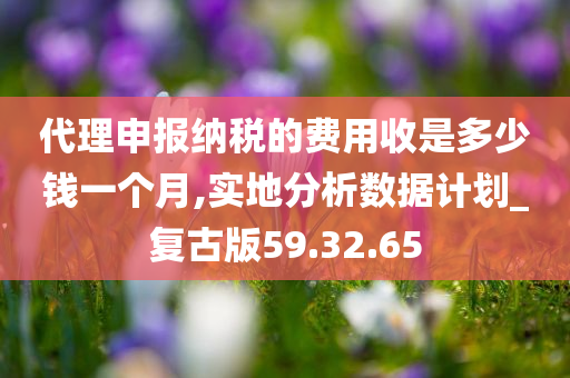 代理申报纳税的费用收是多少钱一个月,实地分析数据计划_复古版59.32.65