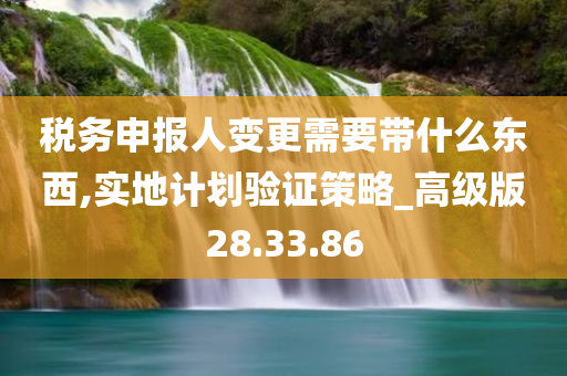 税务申报人变更需要带什么东西,实地计划验证策略_高级版28.33.86