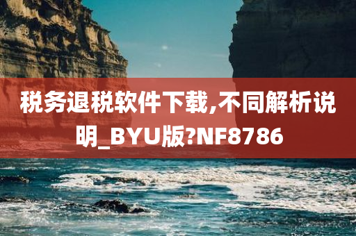 税务退税软件下载,不同解析说明_BYU版?NF8786